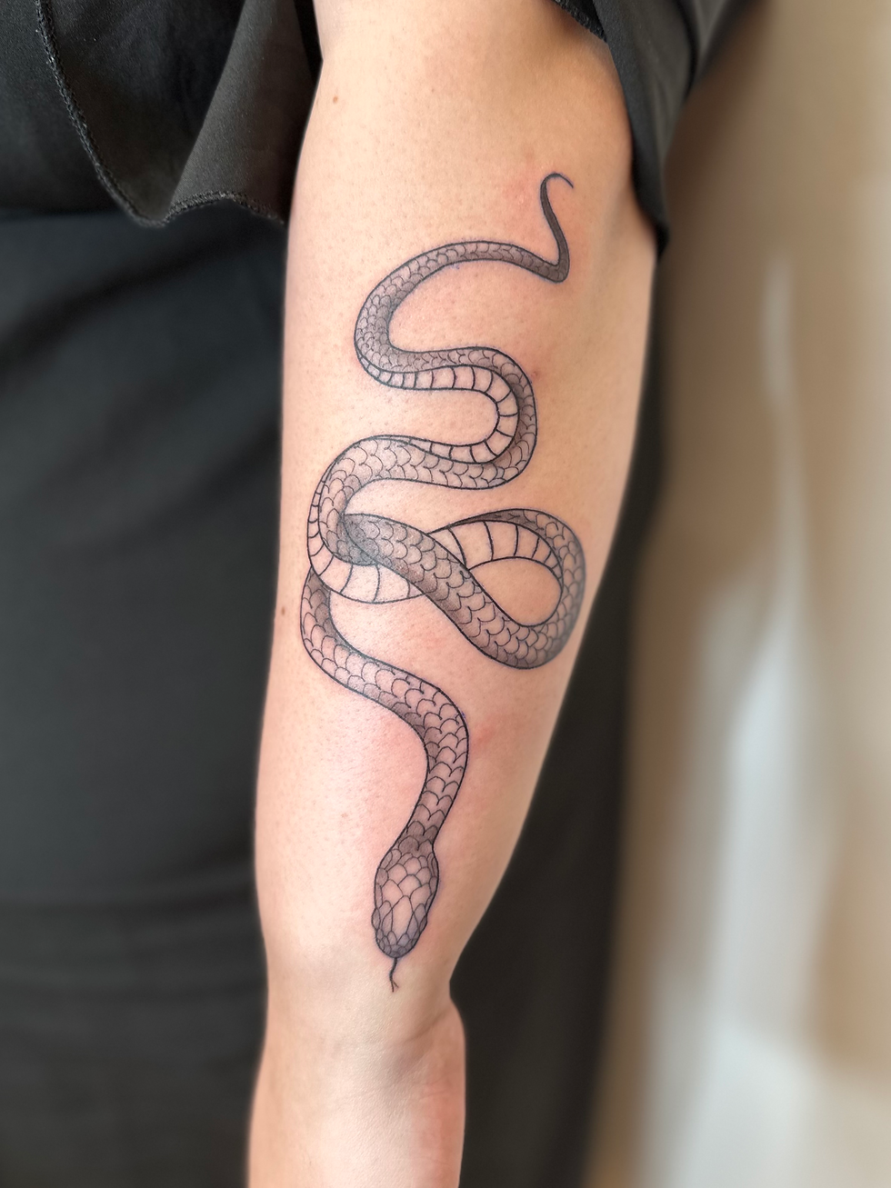 Snake