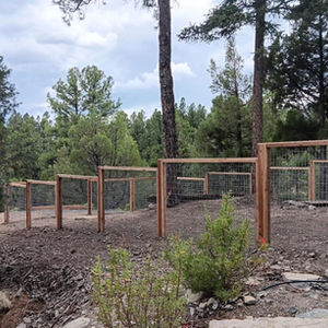 Cattle Panel Garden fence