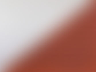 AAC Blocks vs Traditional Bricks