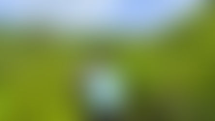 प्राकृतिक धरोहर को सहेजते हुए रोमांच का अनुभव