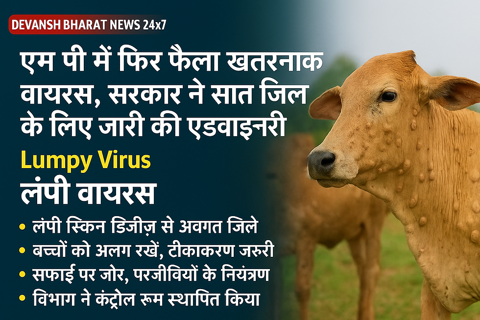 🐄 विशेष रिपोर्ट — Lumpy Skin Disease (लंपी वायरस) का मध्यप्रदेश में फिर प्रकोप