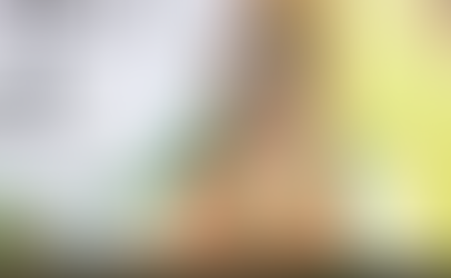 बिहार विधानसभा चुनाव : बीजेपी अध्यक्ष जेपी नड्डा ने किया साफ, नीतीश कुमार ही NDA के नेता