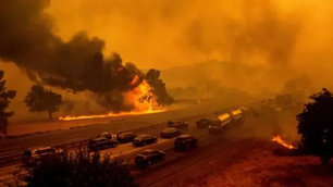 कैलिफोर्निया के जंगल में लगी भीषण आग ने मचाई तबाही, हजारों घर जलकर राख, दस लाख एकड़ में बर्बादी का म