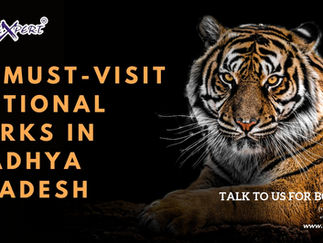 10 Must-Visit National Parks in Madhya Pradesh