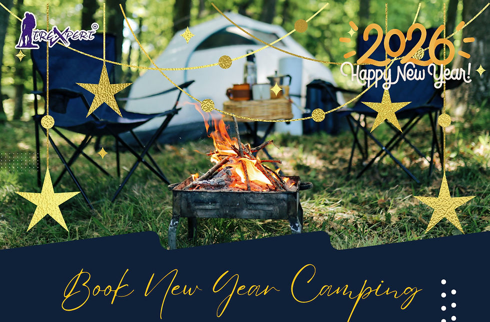 NEW YEAR CELEBRATION 2026