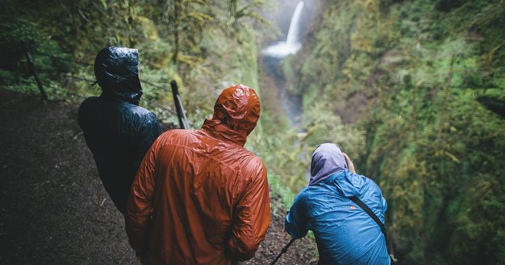 Rainforest Hiking with Trexpert: A One-Day Adventure