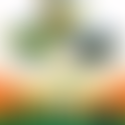 इंद्राना गांव में रोमांच और देशभक्ति का संगम: ट्रेक्सपर्ट लेकर आ रहा है स्वतंत्रता दिवस स्पेशल कैंपिंग और हाइकिंग एडवेंचर