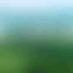 Adventure and Educational Tour to Pachmarhi with Camping