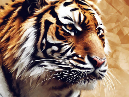 Exploring Bandhavgarh: A Wanderlust Adventure