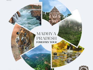 Madhya Pradesh Adventure Forestry Tour