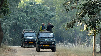Bandhavgarh-National-Park