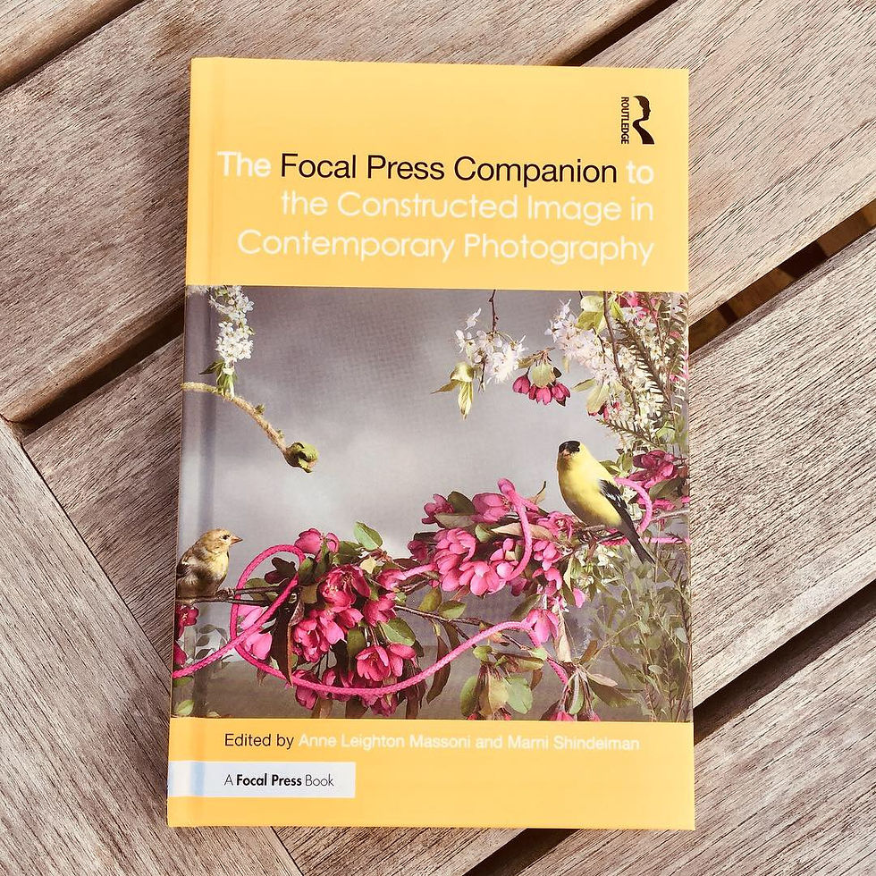 The Focal Press Companion