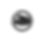 IMG_1810.png