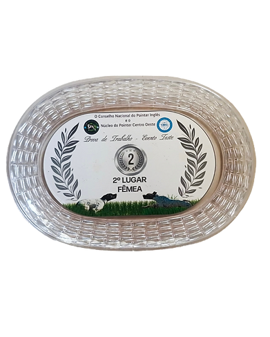 Untitled design 2_edited.png