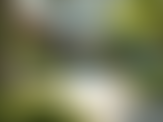 Unlocking Excellence: Team-Based Solutions for Healthcare Challenges