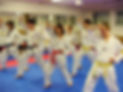 Taekwondo Senioren Karate Selbstverteidigung Fitness Erwachsene Männer Frauen