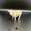 Miniaturbild: Schleich-Tier-Sammlung