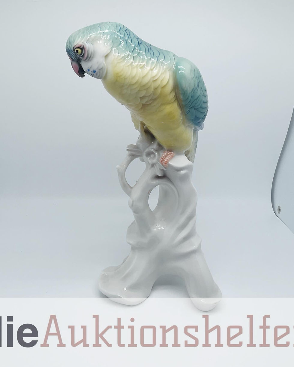 Miniaturbild: ENS Porzellan Papagei