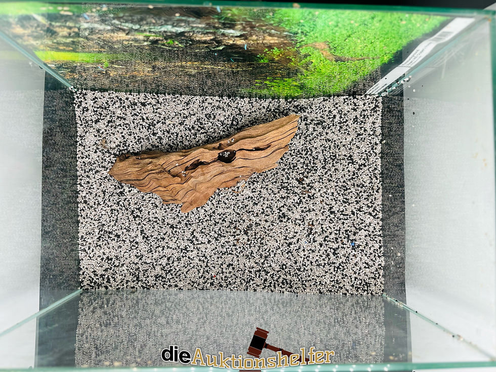 Miniaturbild: kleines Aquarium inkl. Zubehör