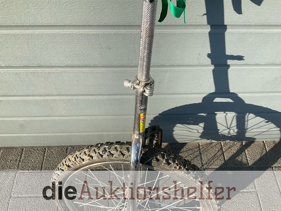 Miniaturbild: Einrad in gebrauchtem Zustand