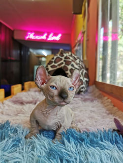 LINE_ALBUM_ไอต้าวเวก้าาาาา ._230214_3