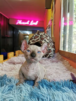 LINE_ALBUM_ไอต้าวเวก้าาาาา ._230214_2