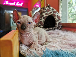 LINE_ALBUM_ไอต้าวเวก้าาาาา ._230214_14