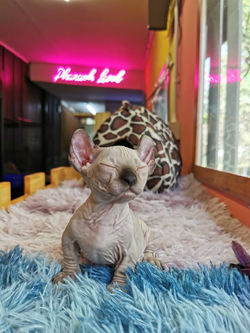 LINE_ALBUM_ไอต้าวเวก้าาาาา ._230214_1