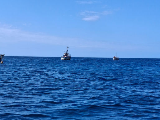 8 Best Sal Water Activities for a Coastal Escape