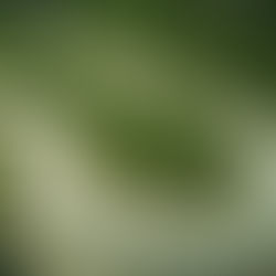 Kurvenstraße auf Sardinien während einer geführten Motorradreise
