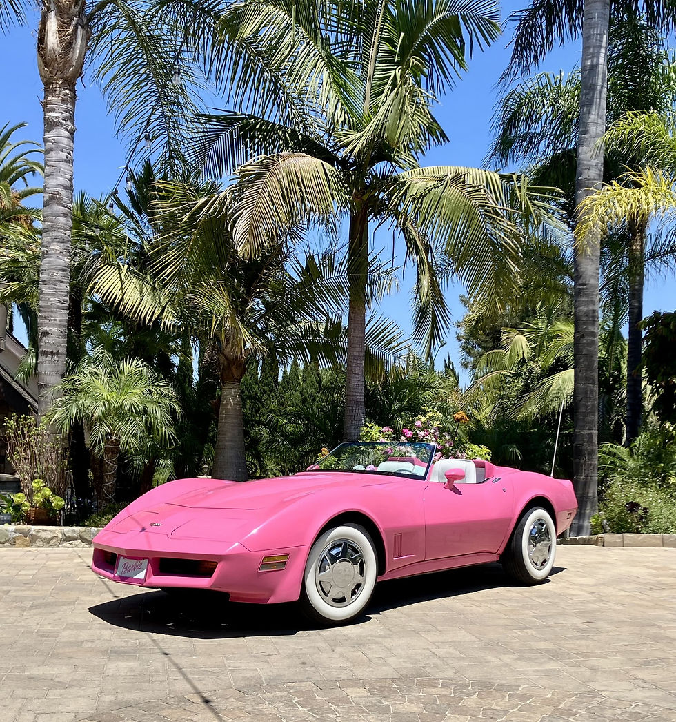 1983 Chevrolet Corvette photo 1