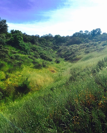 Green-Hills-Westlake-Village-California.jpeg