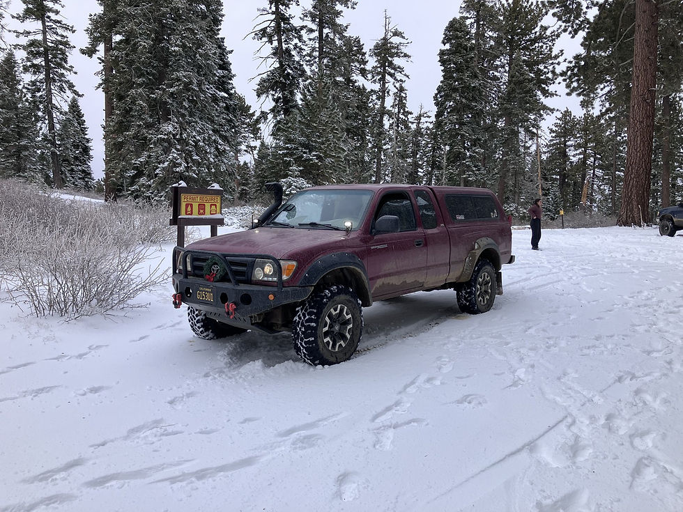 1998 Toyota Tacoma photo 1