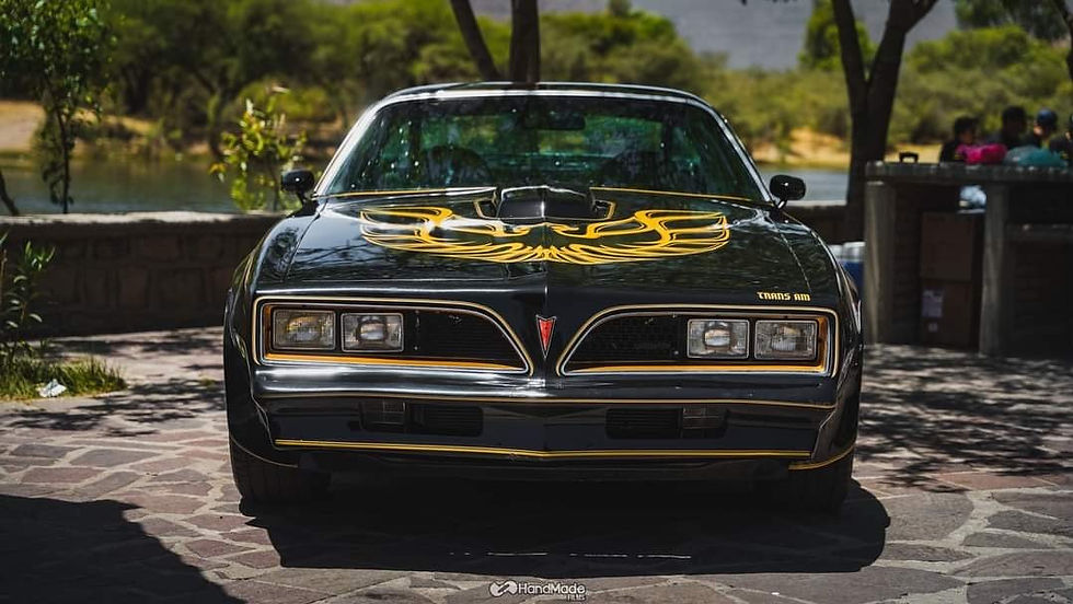 1978 Pontiac Trans Am photo 2