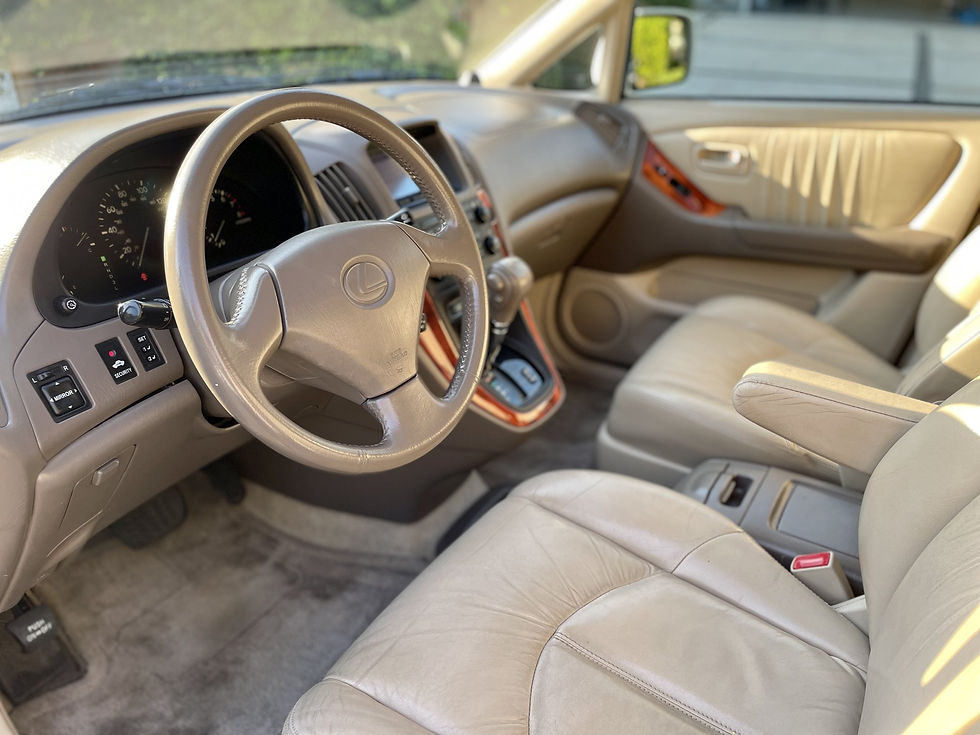 2000 Lexus RX 300 photo 2