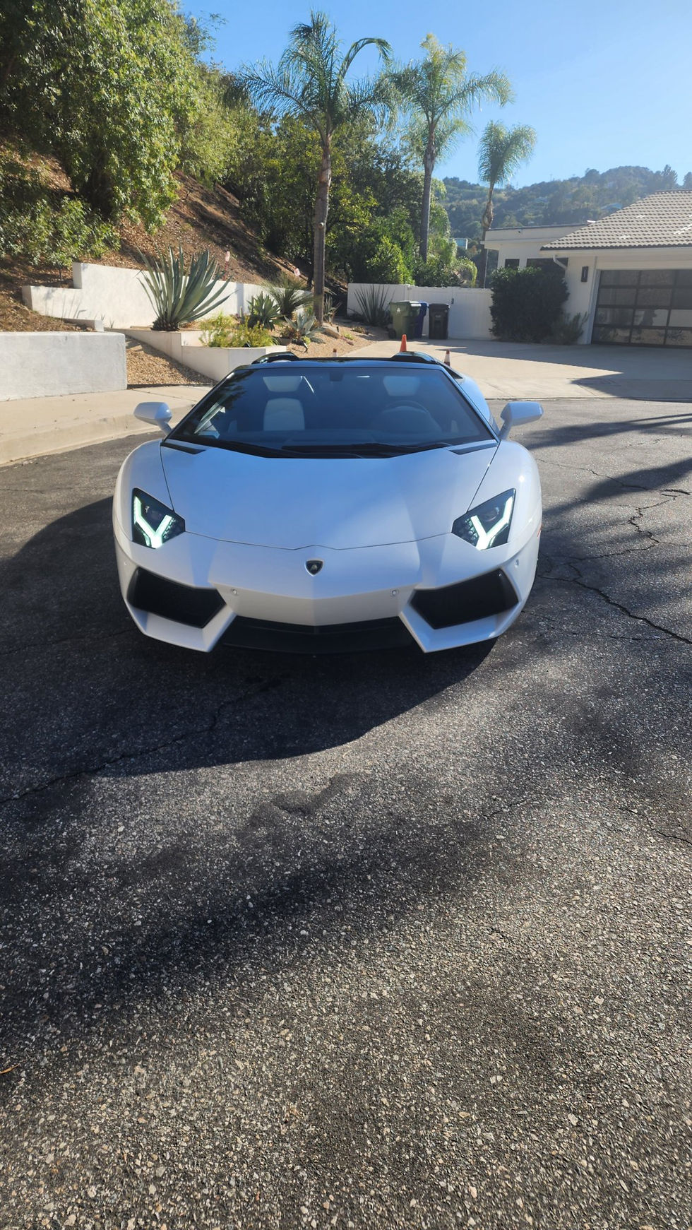 Lamborghini Aventador Roadster photo 6