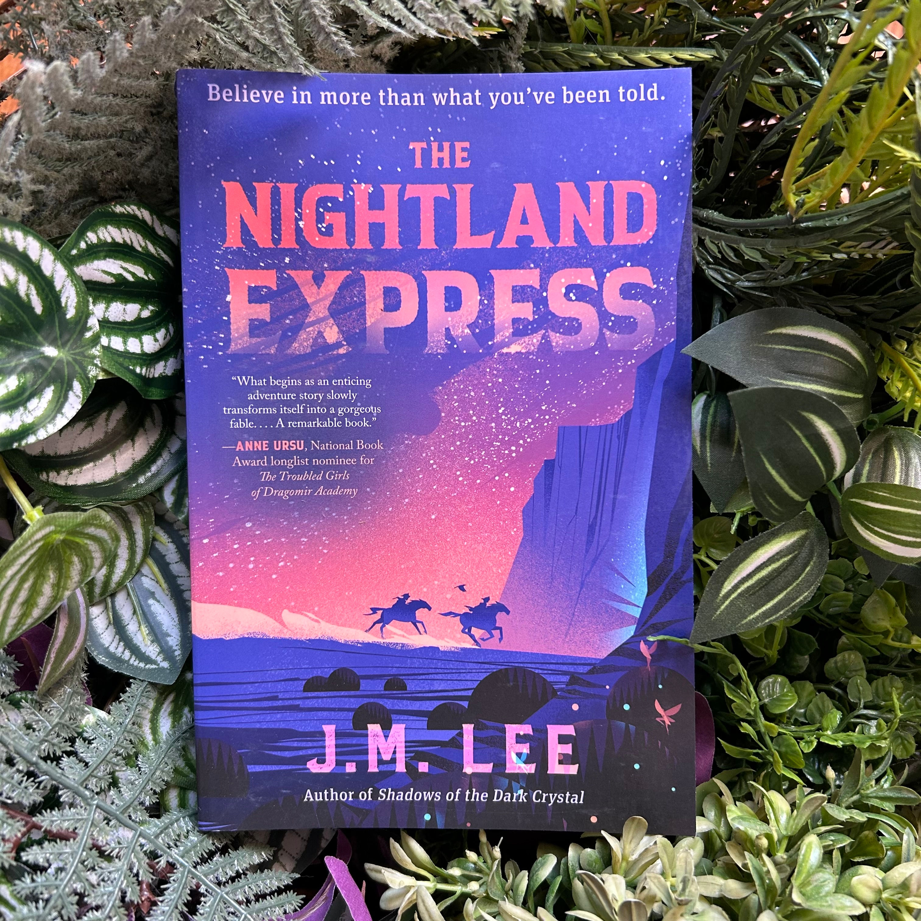 The Nightland Express by J. M. Lee