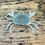 Thumbnail: Sterling Silver Crab Pendant with Cornish Sea Glass
