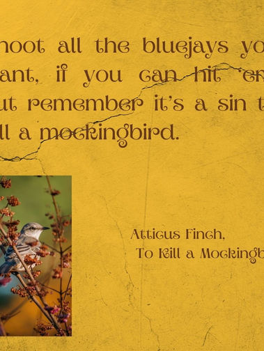 Discussion on To Kill a Mockingbird