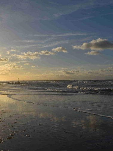 The Importance of the Beaches and Dunes of the Netherlands