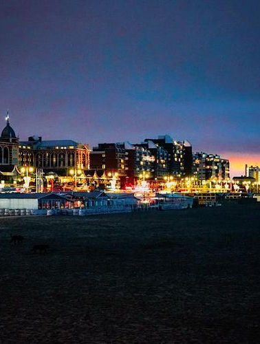 Cycling The Hague’s International Areas and Scheveningen