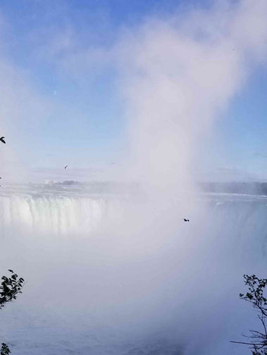 The Niagara Region: Beyond Niagara Falls