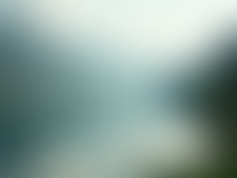 The Power of Mindfulness in Everyday Life