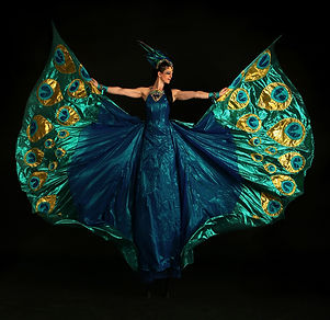 The Dream Peacocks,circus, Peacocks stilts, Themed events, themed stilts costumes