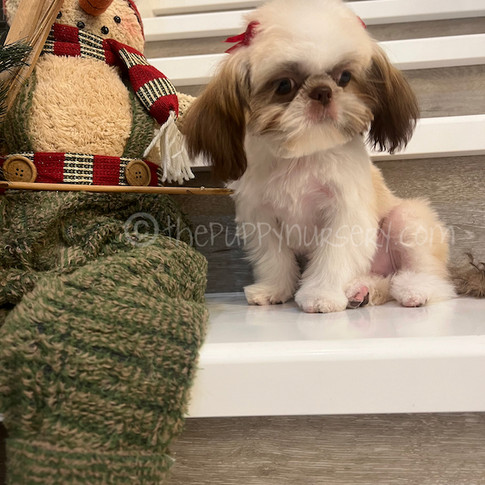 Click to see more pictures of Jackie!