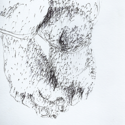 desenho de observação