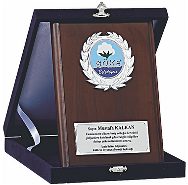 plaket 3.png