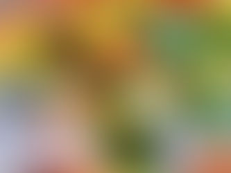 法人様向けサービスを拡充しました