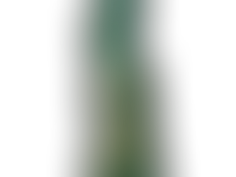 An INDY Artist: Our Coverage of Taylor Swift, Then and Now