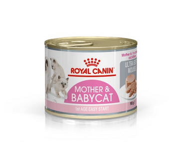Royal Canin Mother & Kitten Canned Food
